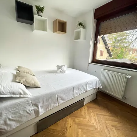 Spacious Cozy Apartment *