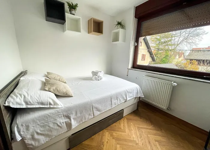 Spacious Cozy Apartment *